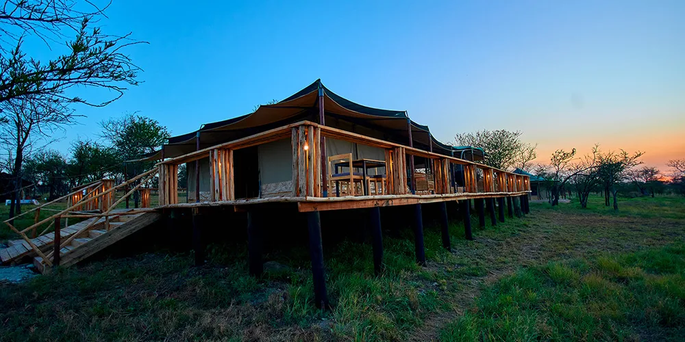 Luxury Tent Interior