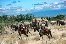 Horse riding safari in Tanzania