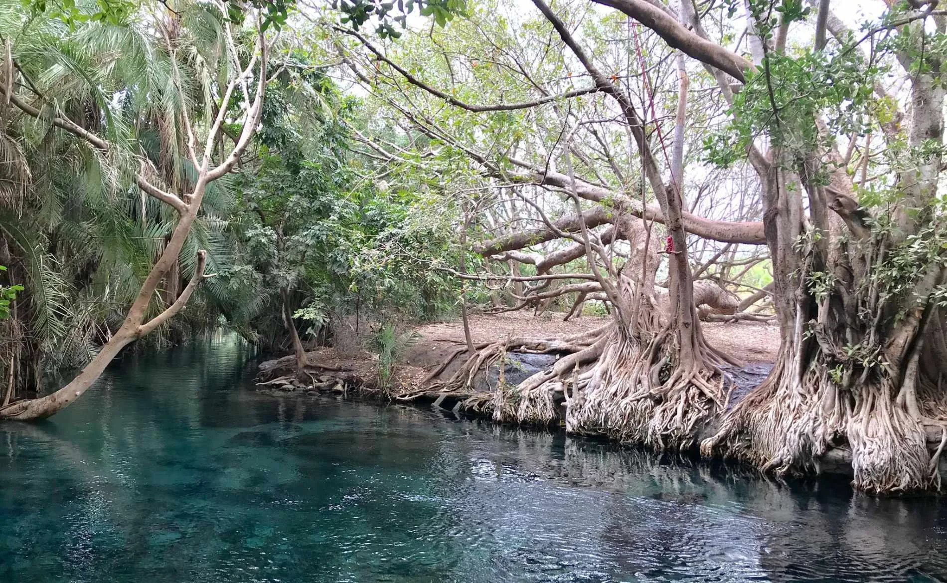 Chemka Hot Springs Day Trip – A Relaxing Oasis Near Kilimanjaro