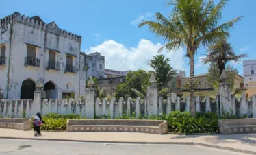 Tanzania Honeymoon Safari