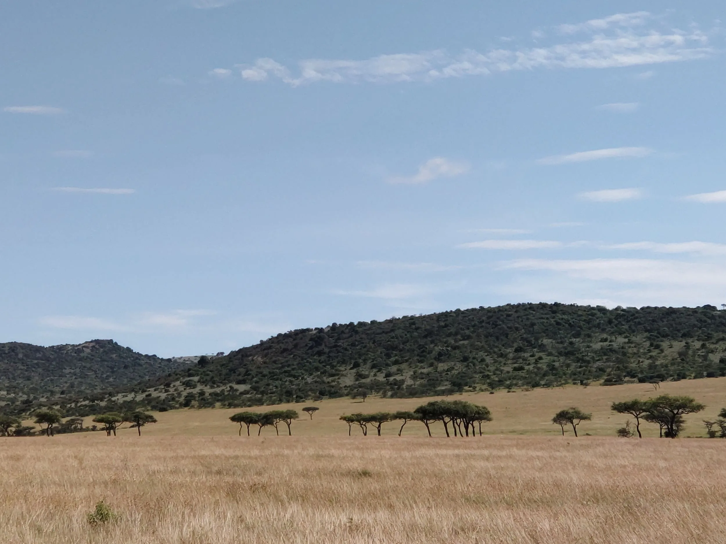 Luxury Great Migration Safari and Zanzibar package1