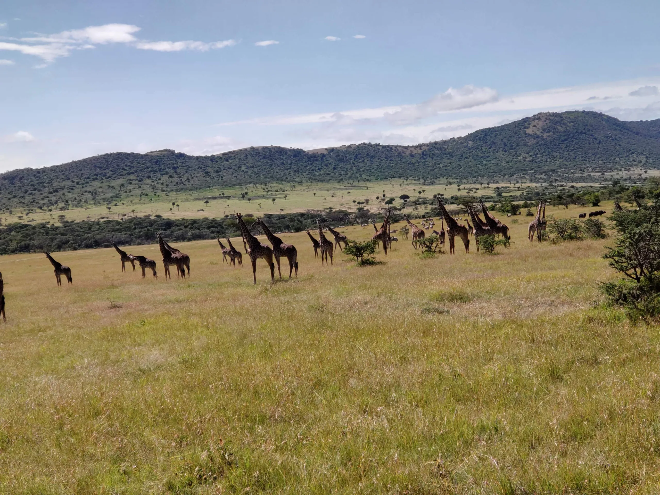 Luxury Great Migration Safari and Zanzibar package1