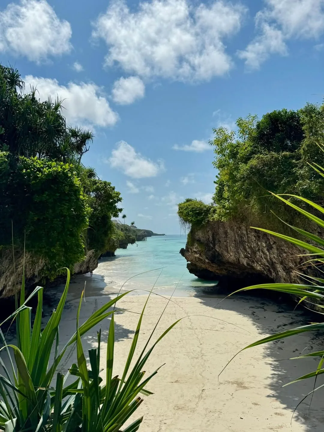 Serengeti and Zanzibar packages