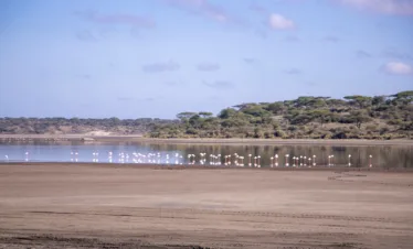 6 day tanzania safari