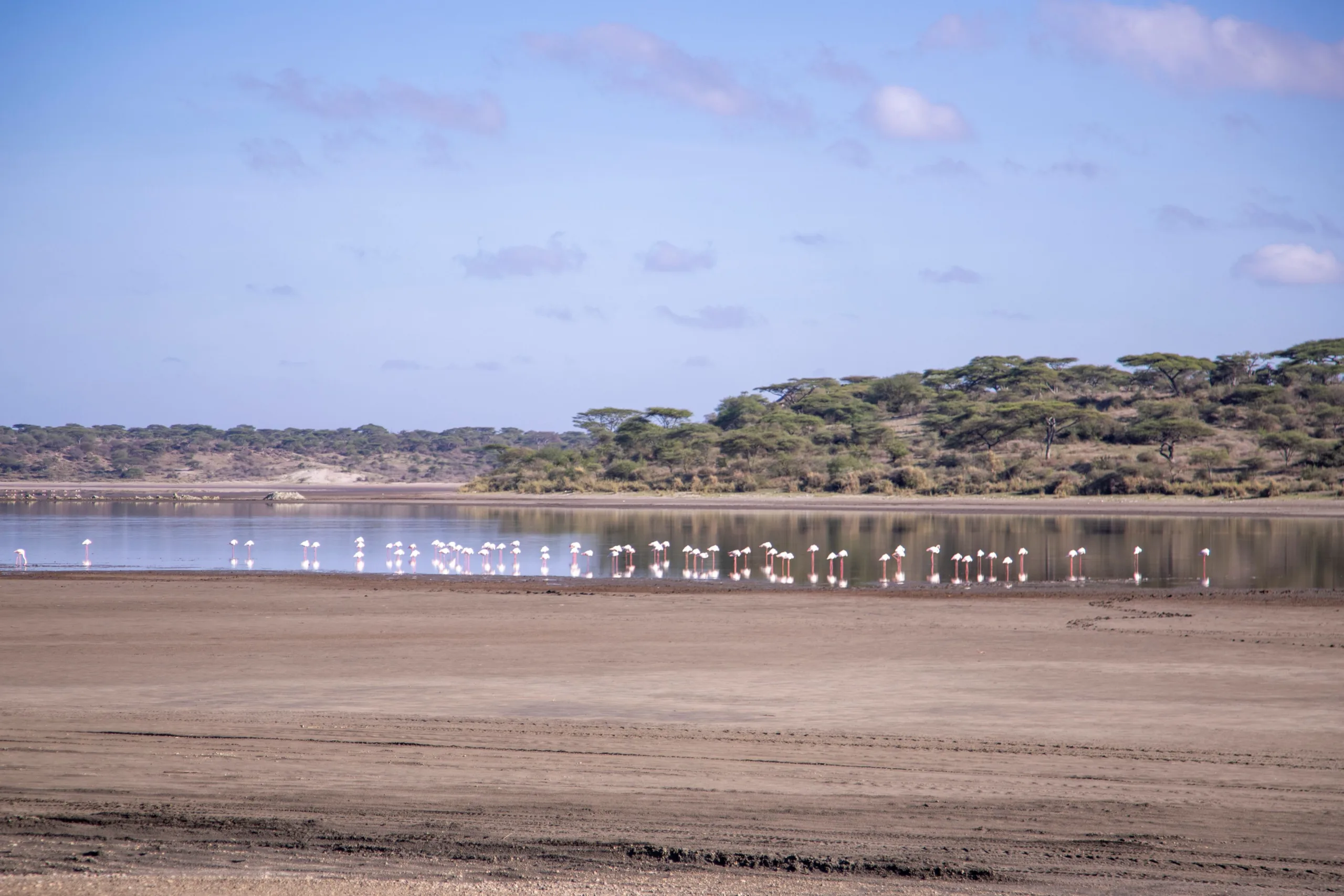 6 day tanzania safari