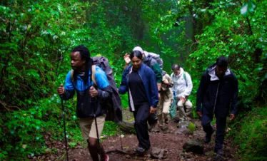 8 Days Lemosho Route