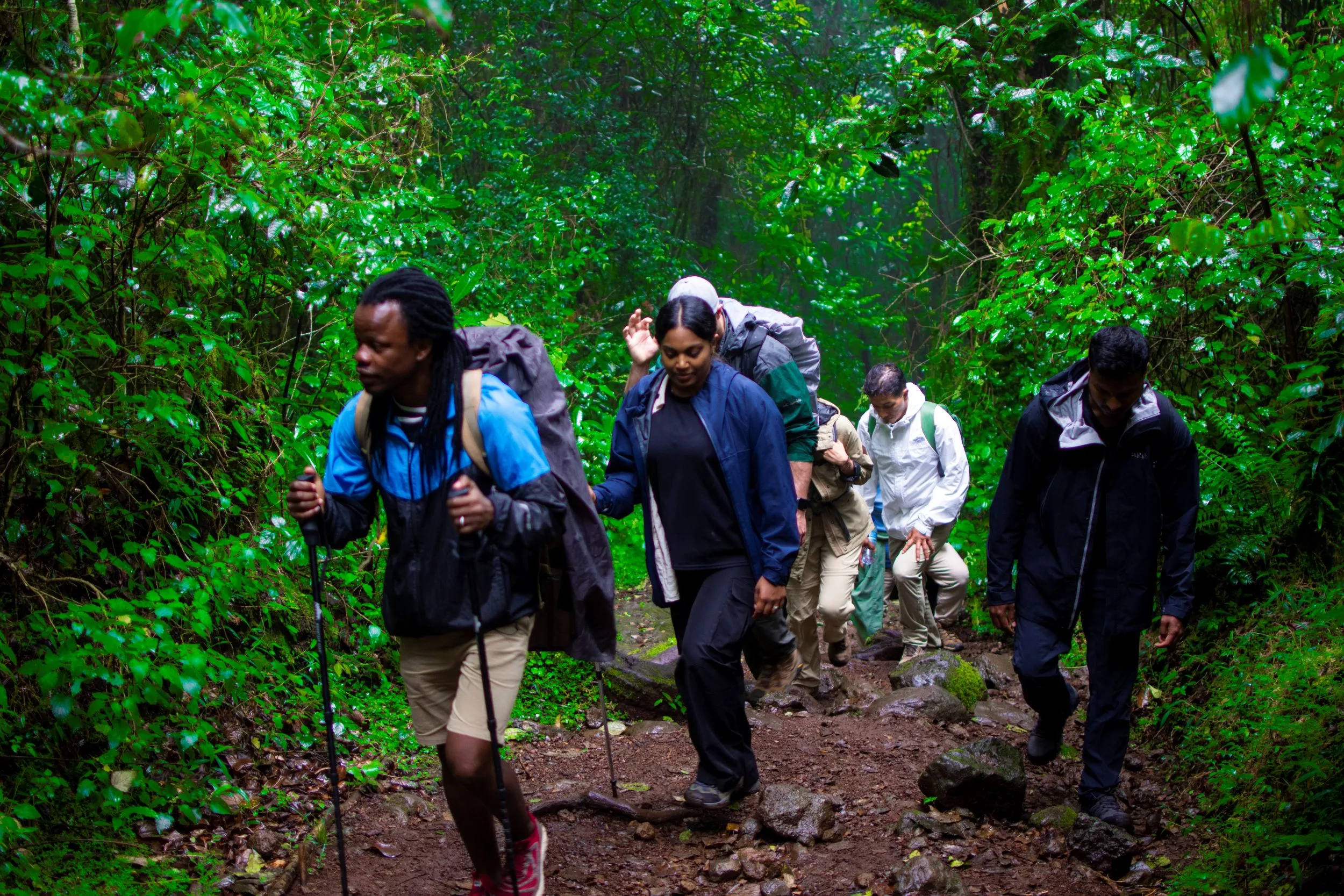 8 Days Lemosho Route