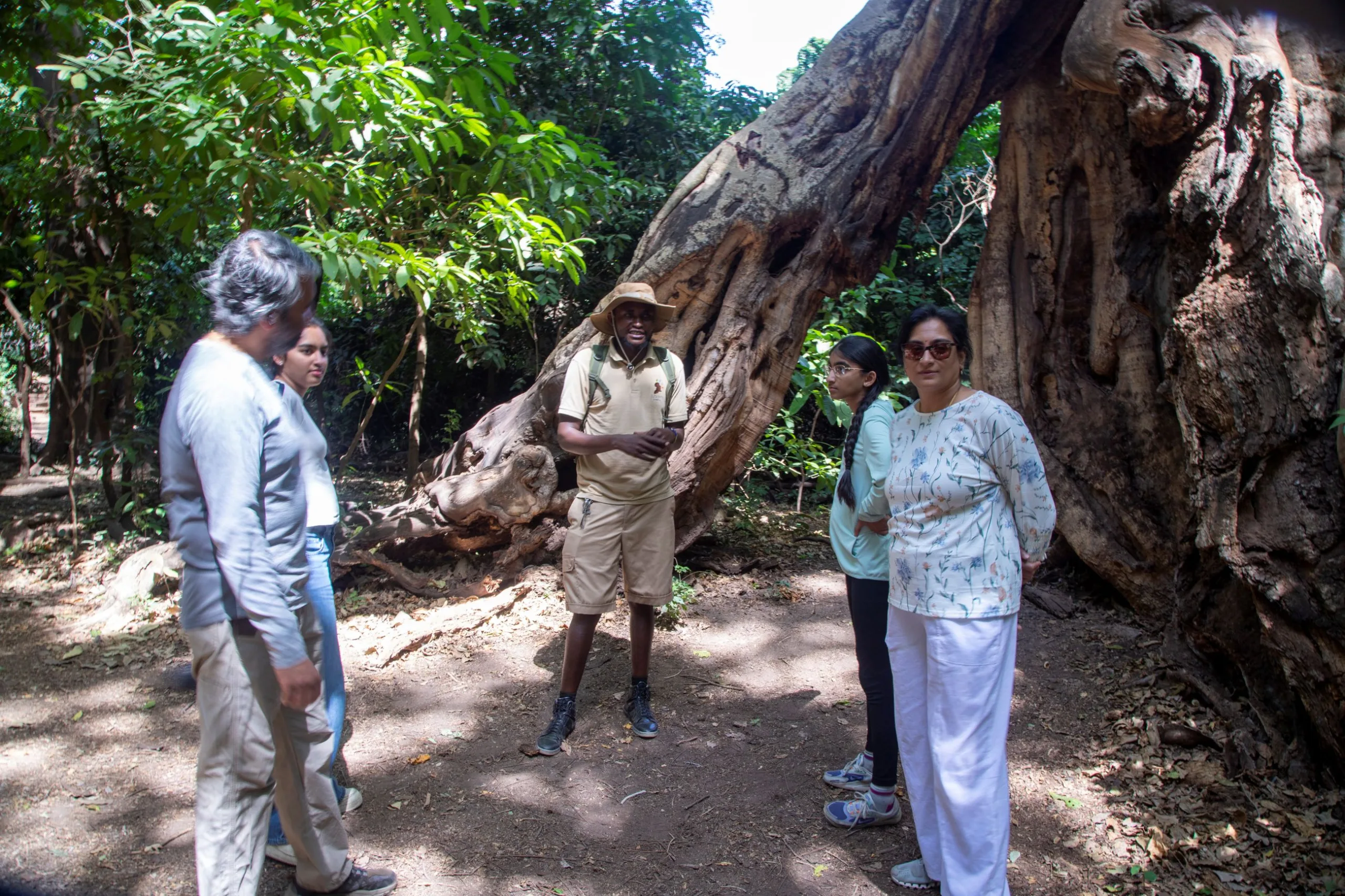 serengeti safari and zanzibar