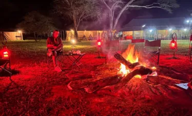 serengeti safari and zanzibar