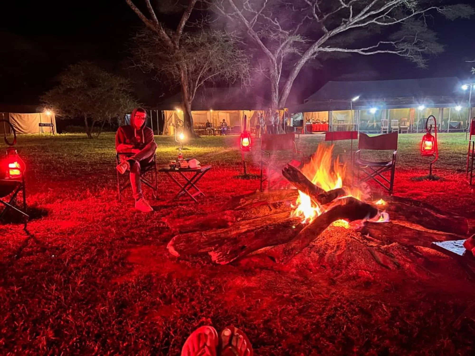 serengeti safari and zanzibar