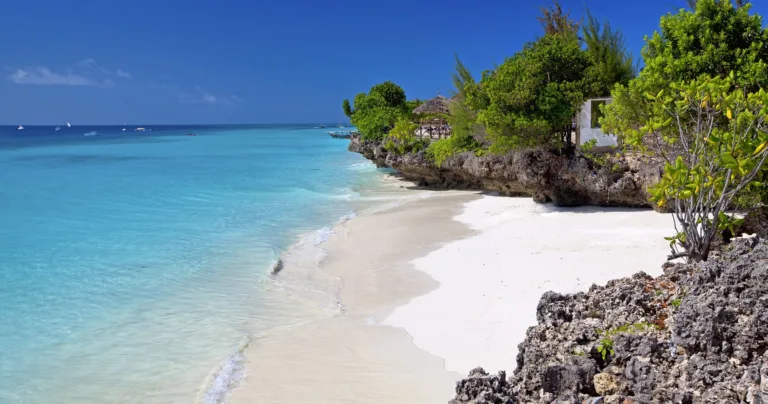 serengeti safari and zanzibar
