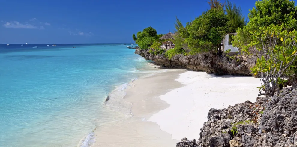serengeti safari and zanzibar