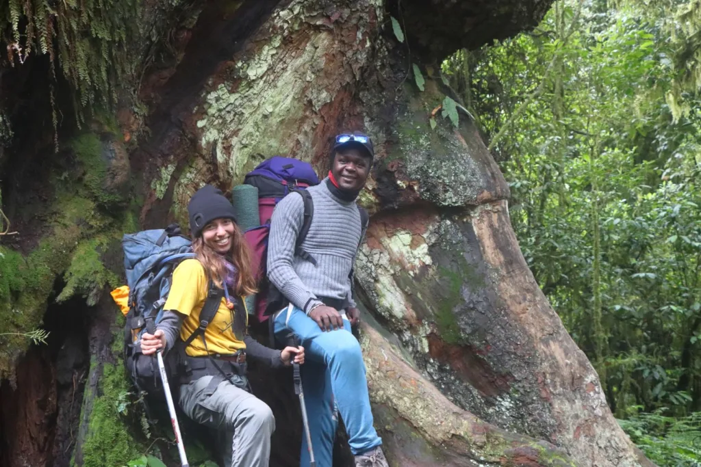 9 day lemosho route kilimanjaro
