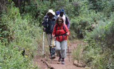 climbing kilimanjaro marangu route