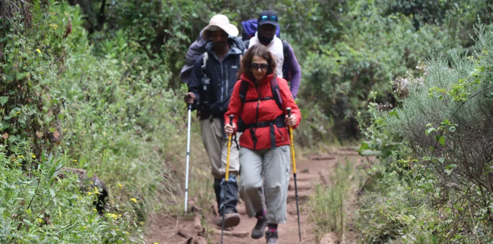 climbing kilimanjaro marangu route