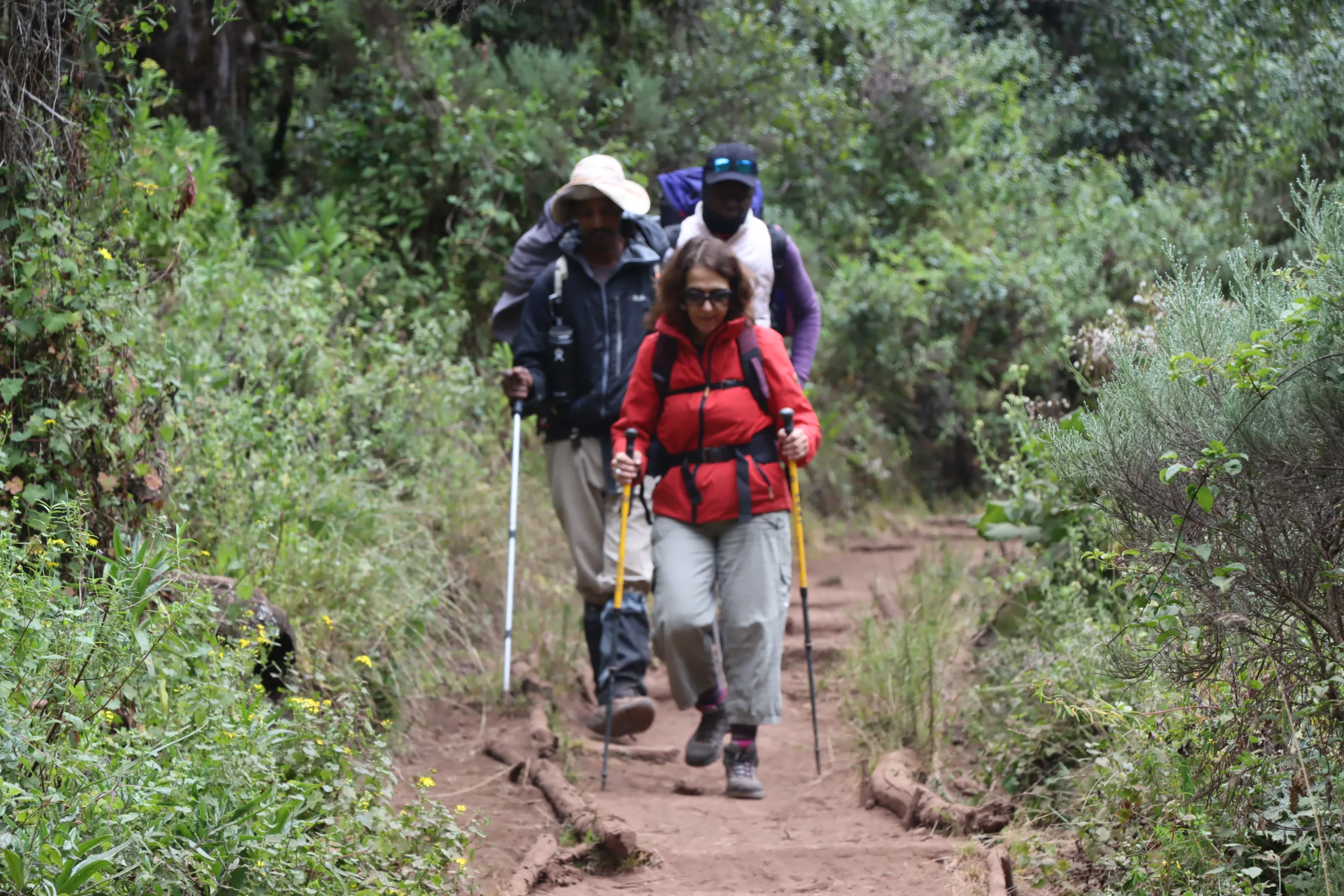 climbing kilimanjaro marangu route