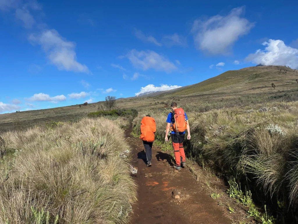 marangu route kilimanjaro