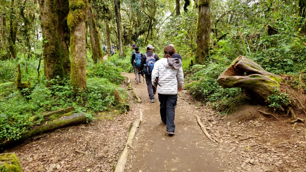marangu route kilimanjaro