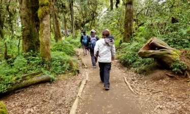 marangu route kilimanjaro