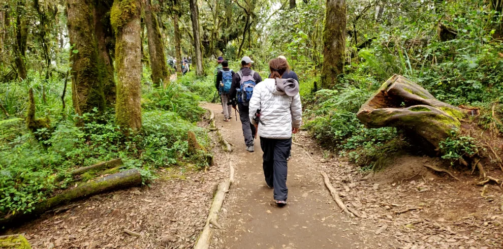 marangu route kilimanjaro