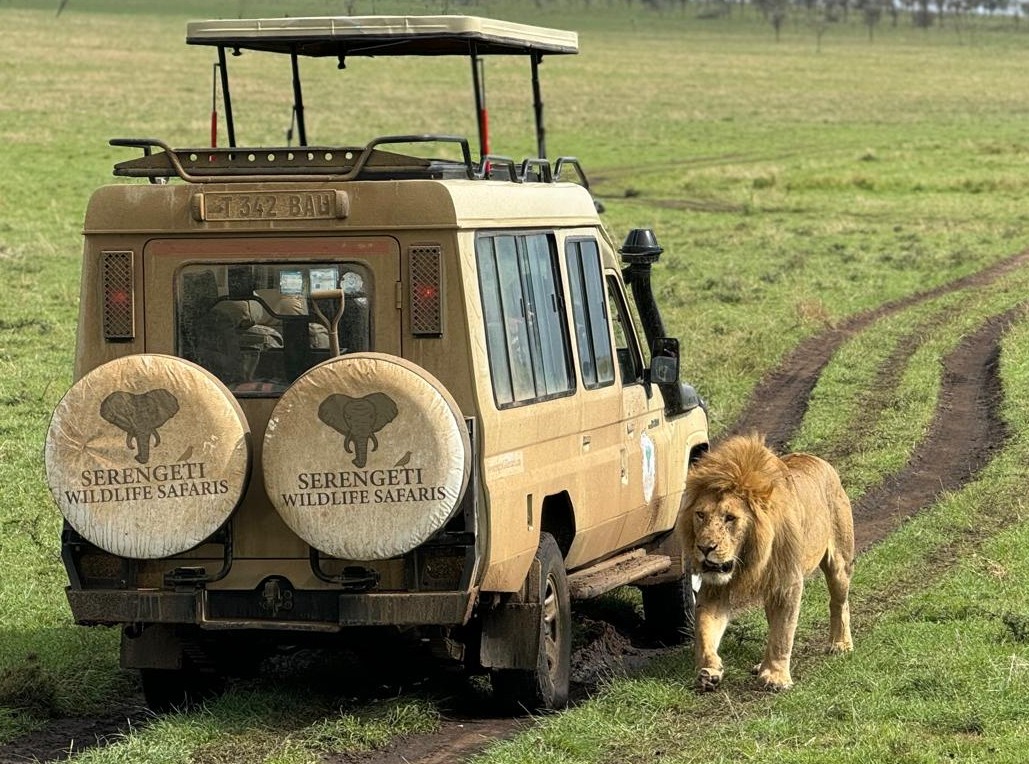 private tanzania safari tours
