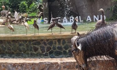 private tanzania safari tours
