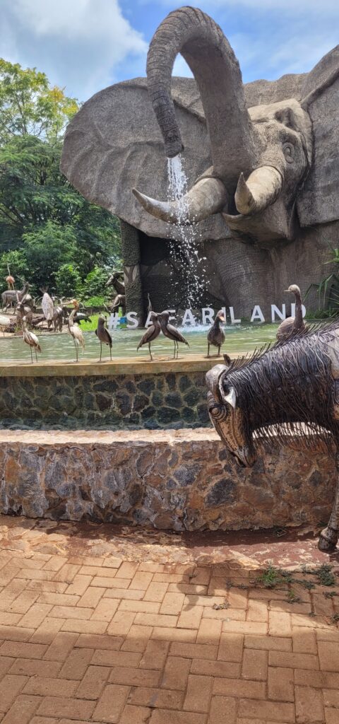 private tanzania safari tours