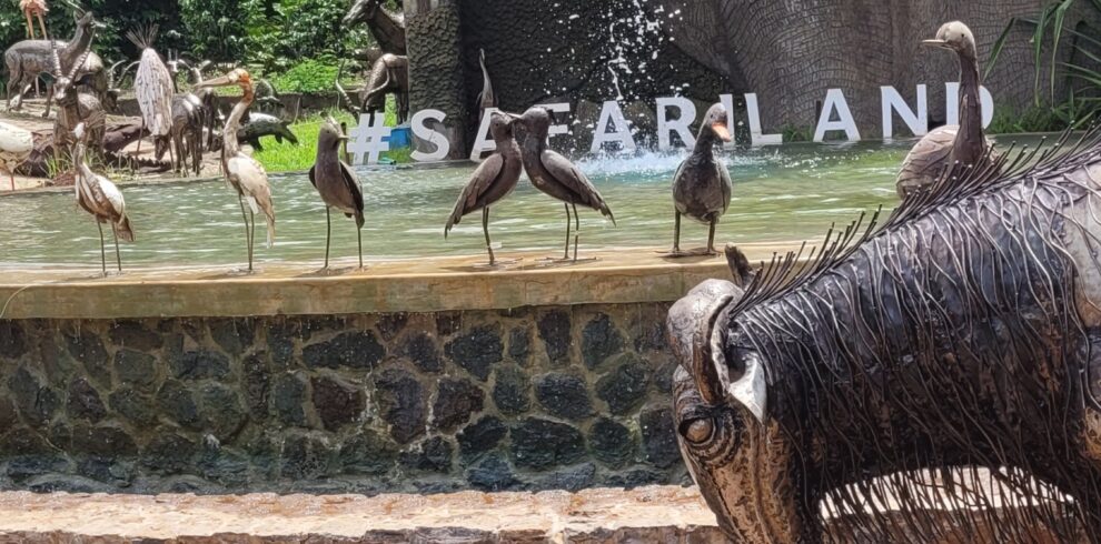 private tanzania safari tours
