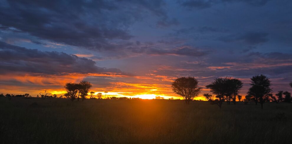 serengeti honeymoon