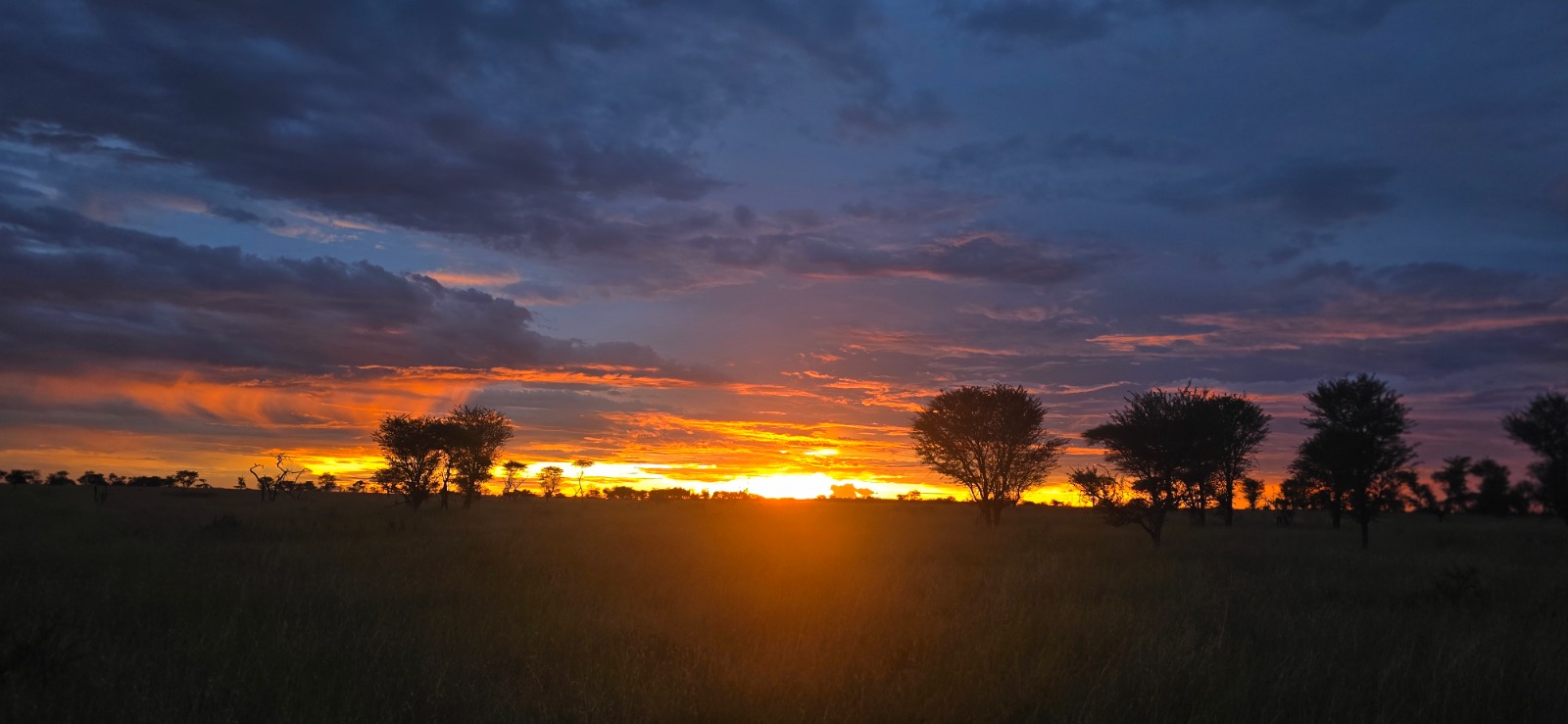 serengeti honeymoon