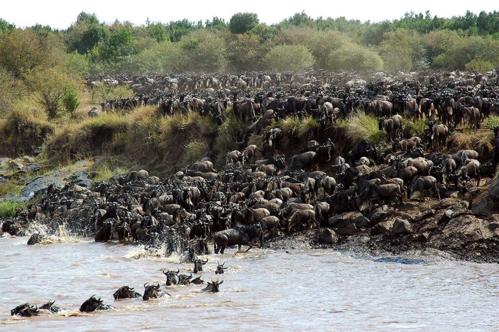 6-day-mara-river-crossing