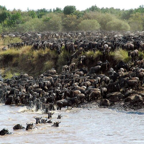 6-day-mara-river-crossing