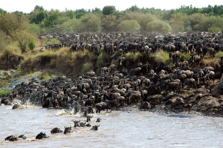 6-day-mara-river-crossing