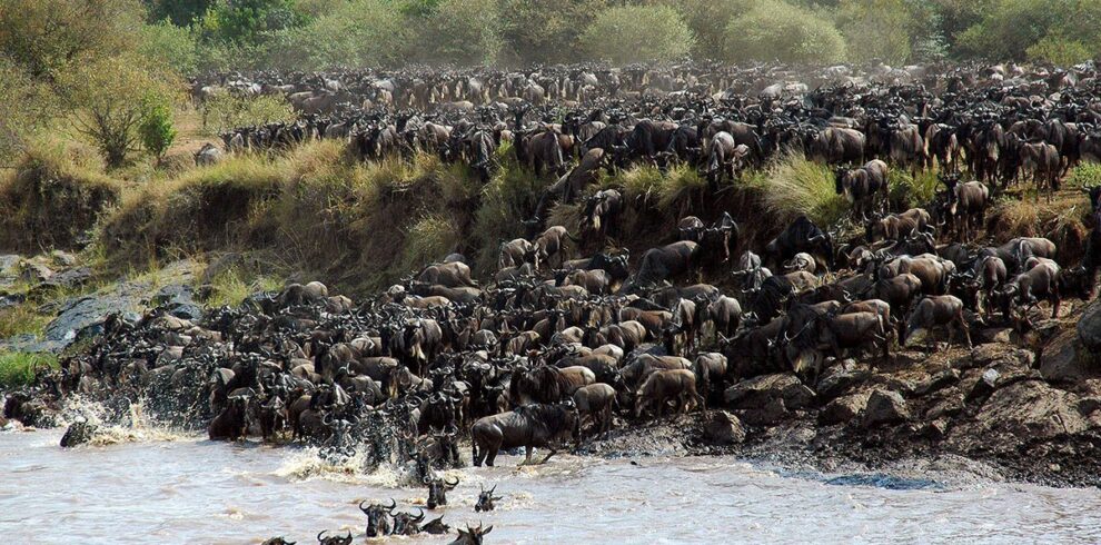 6-day-mara-river-crossing