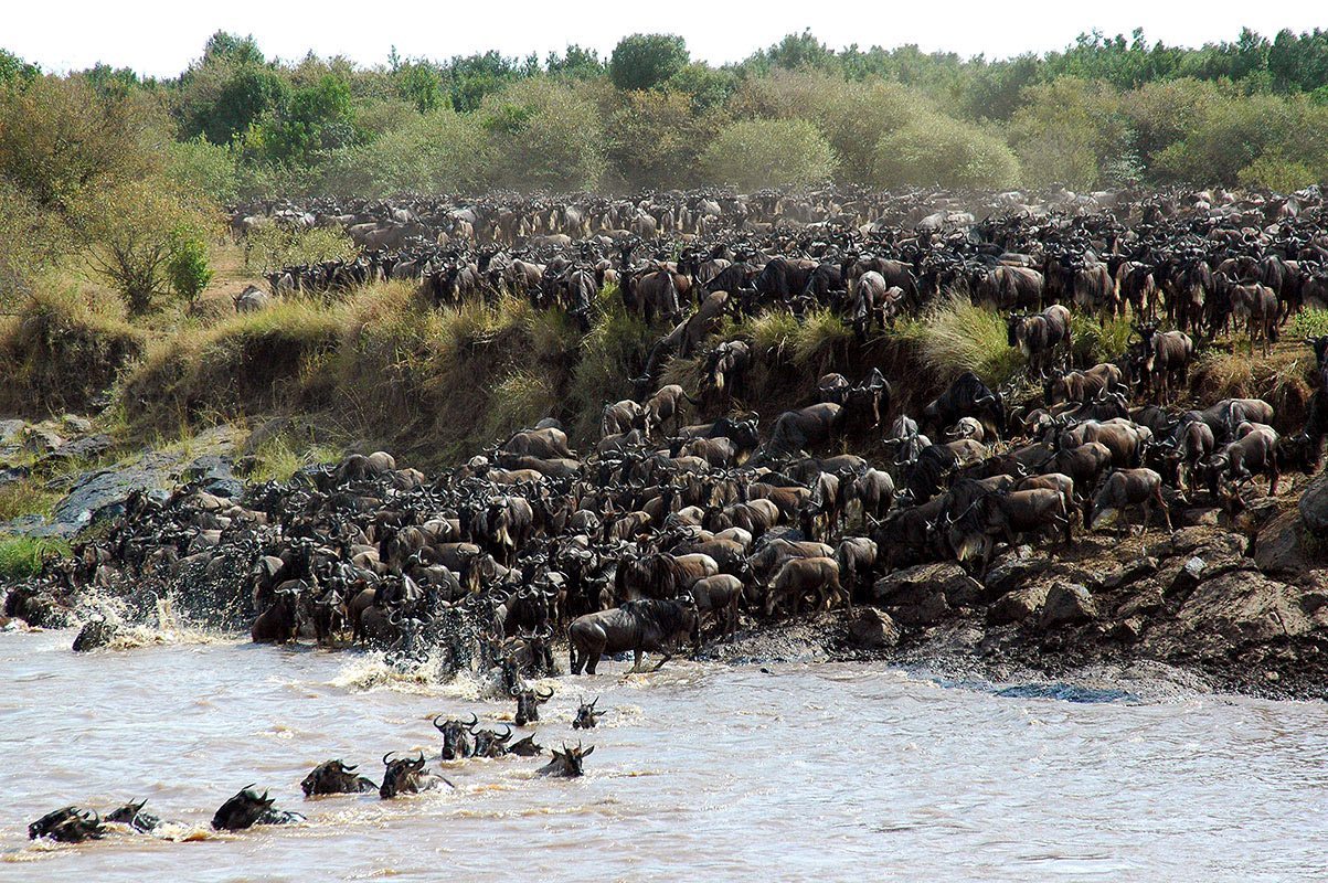 6-day-mara-river-crossing