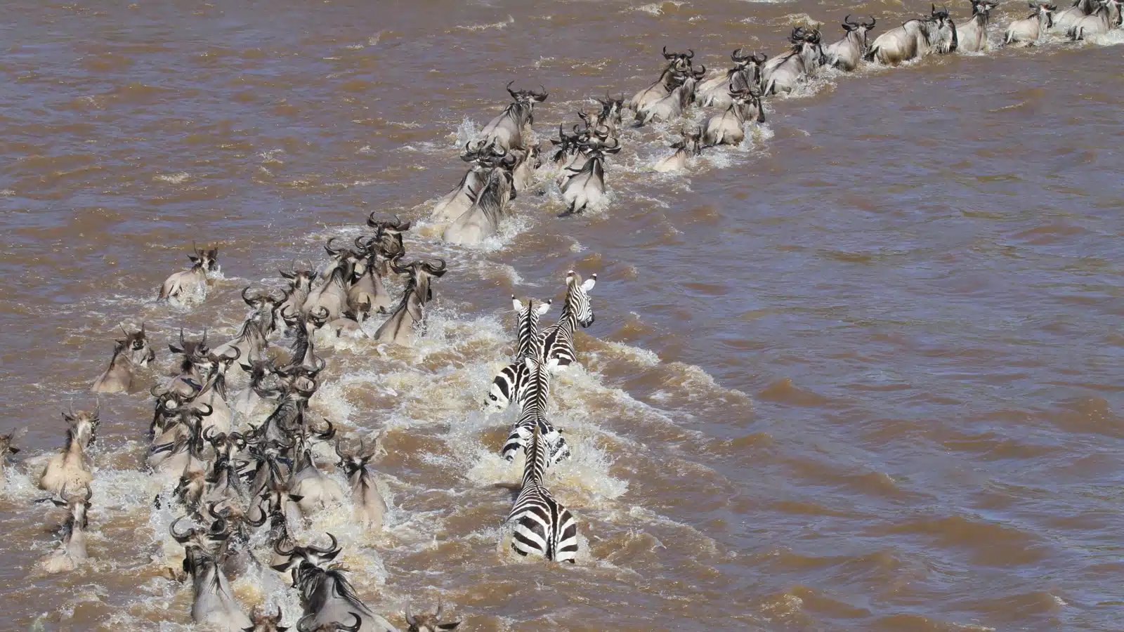6-day-mara-river-crossing