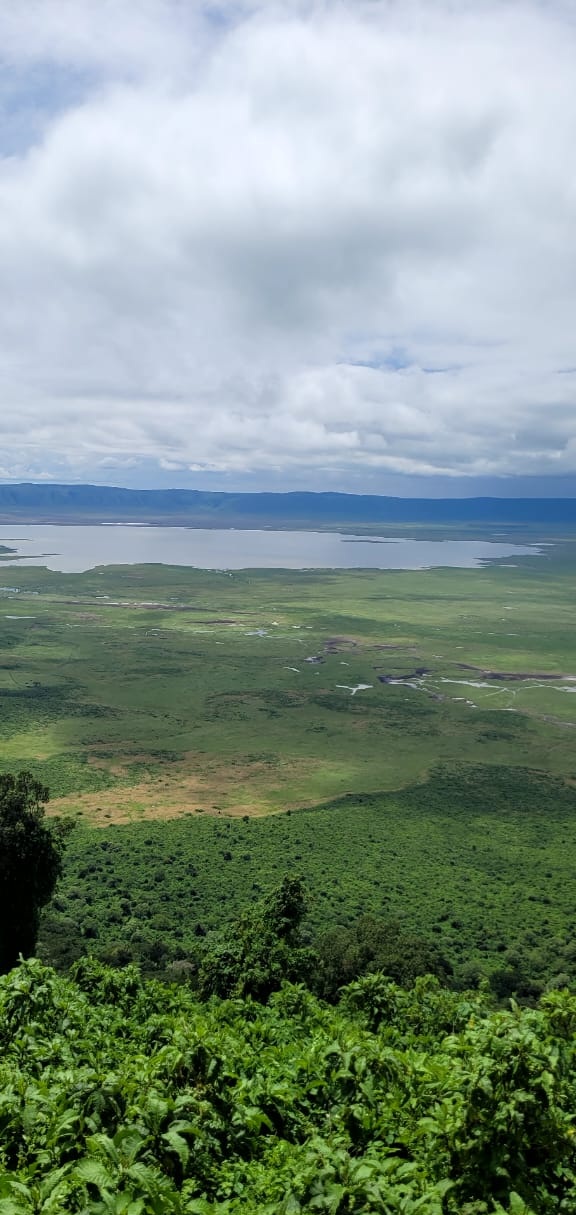 Ngorongoro Crater