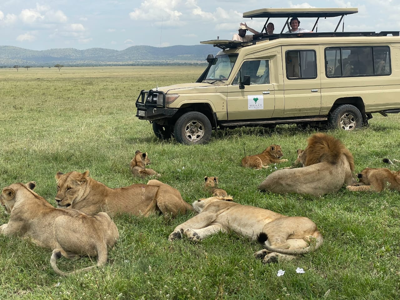 serengeti budget safari