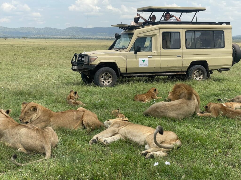 serengeti safari