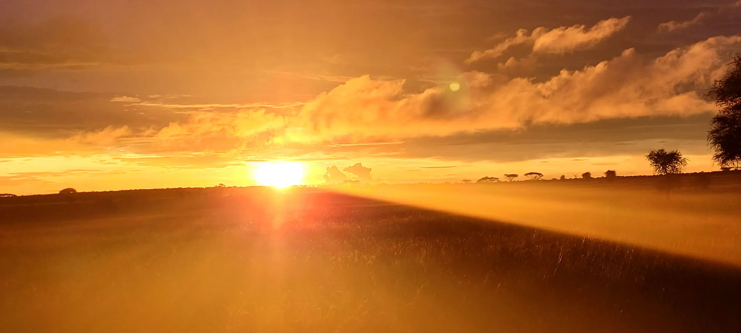 Sundowner