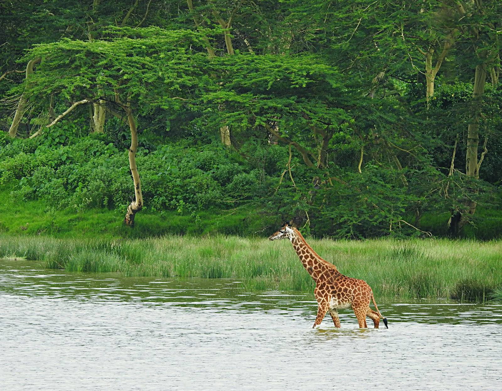 arusha national park