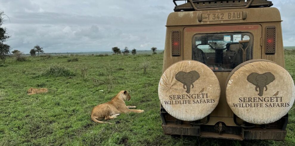 5 Day Ngorongoro Crater Safari