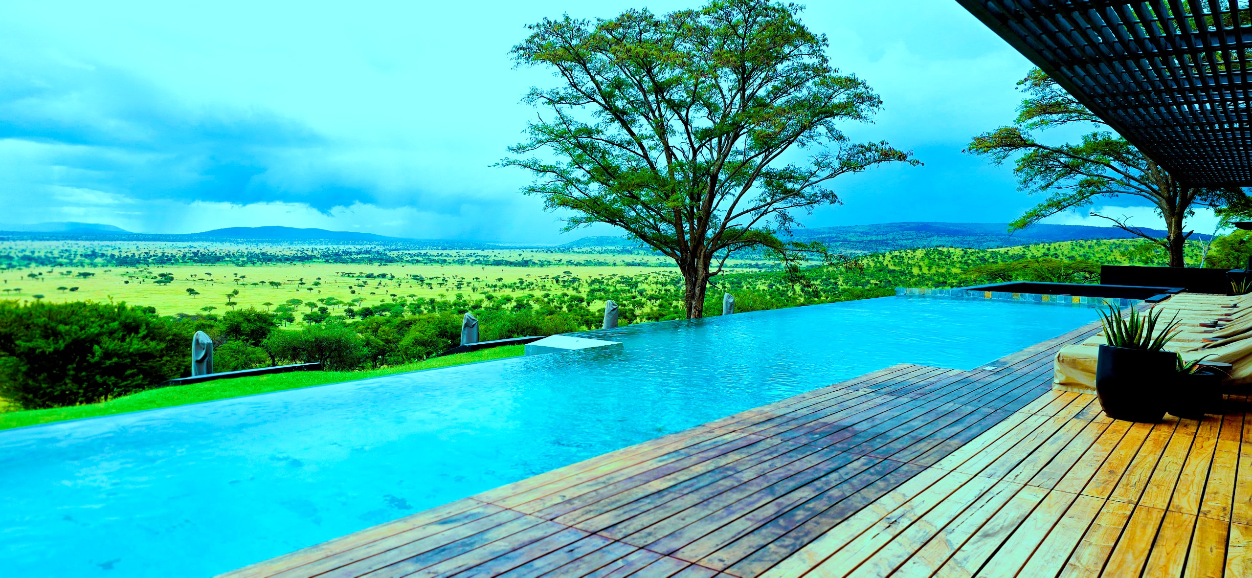 5 day tanzania luxury safari