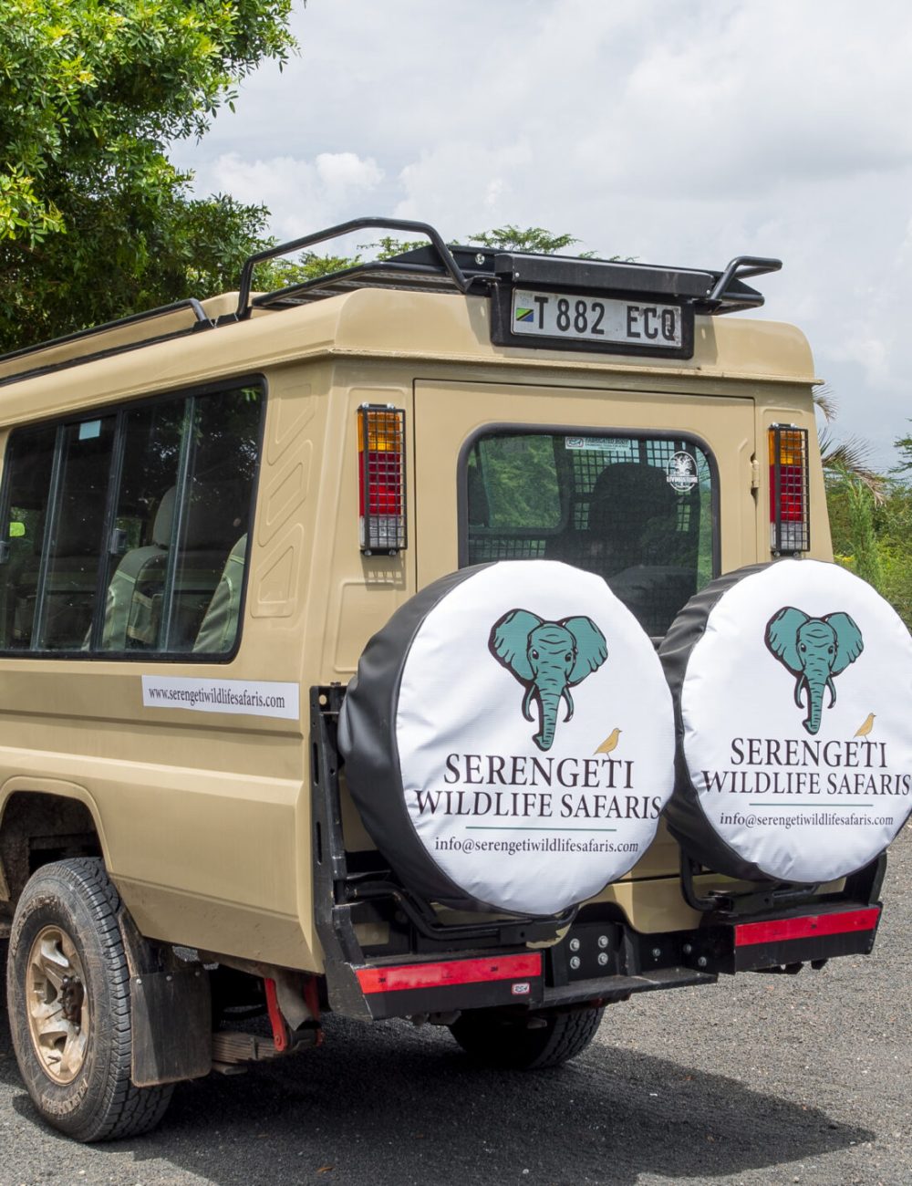 Serengeti Wildlife Car