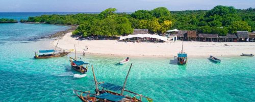 Zanzibar Marine Wonderland